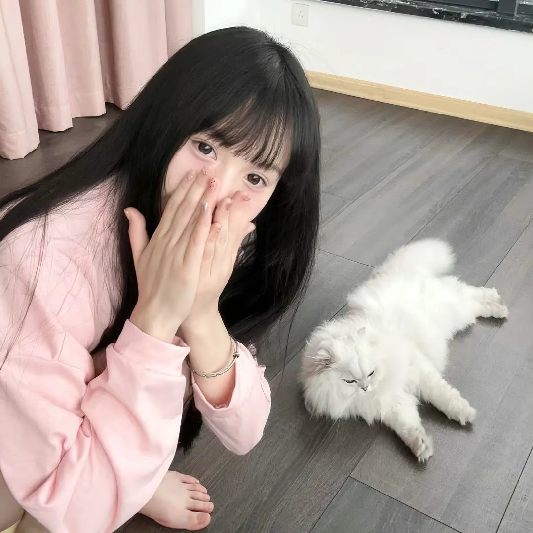 黑艳凤